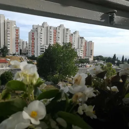 Antonio * スプリト