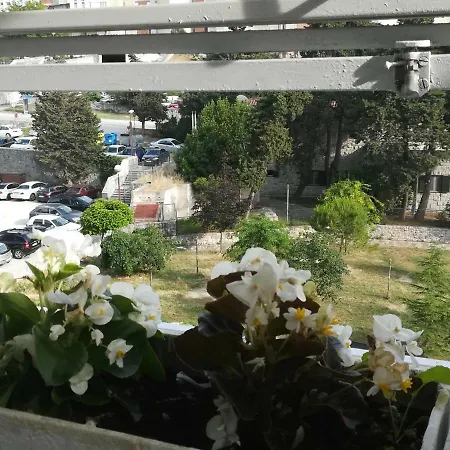 Antonio アパート